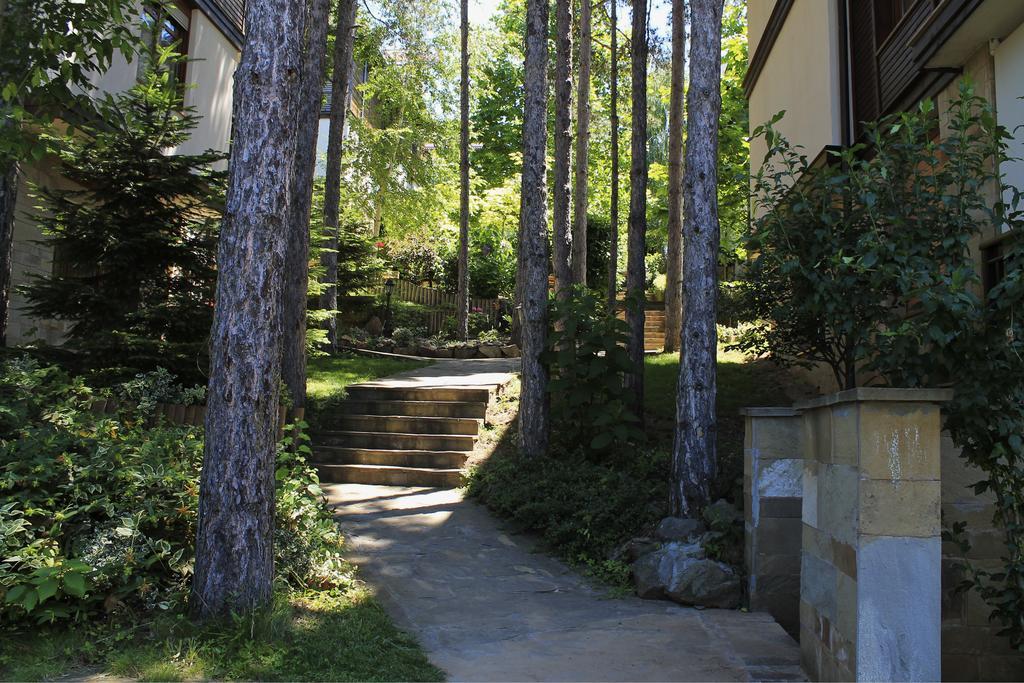 سوزوبول Apartments Dreambg الغرفة الصورة